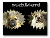 Nyakabully Kennel Bulldogs