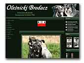 Olesnicki Brodacz