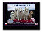  Orleansnow - samoyed kennel