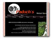 Welsh Springer Spaniel Kennel Paduch's