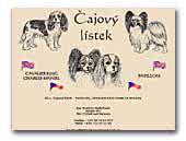 Čajový lístek Papillons and Cavalier King Charles Spaniel