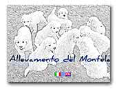 Allevamento del Montelarco