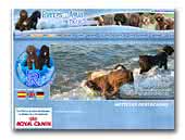Spanish Waterdog Kennel del Rabadan