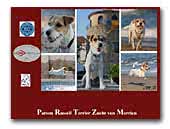 von Morrien - Parson Russell Terrier Zucht