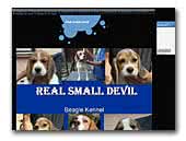Real Small Devil Beagle Kennel