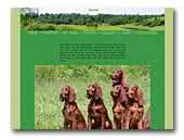 Redgrace kennel