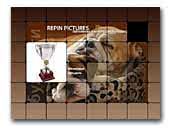 Repin Pictures