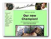 Rocco's Collar Cairn Terrier