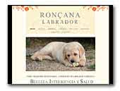 labrador de Ronçana