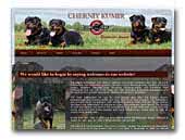 Rottweiler kennel Cherniy Kumir