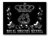 Royal Amstaff Kennel