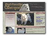 Endry Samoyeds by Nord Paradise Samoyeds