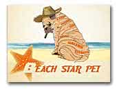 Beach Star pei