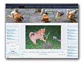 Kennel Sava Giria