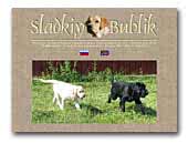 Sladkiy Bublik labradors and scottish terriers