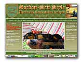 Gordon-Sett Style Gordon setters