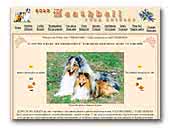 Gold Heathbell shelties & collies