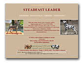 Steadfast Leader Russian Toy & Dalmatian