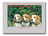 Snoopy Kid Beagle Kennel