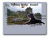 Stirling Bridge Kennel