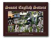 Seaset English Setters