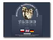 Taboo American Staffordshire Terrier