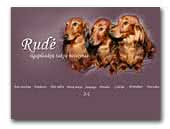 Long-haired dachshunds kennel Rud�