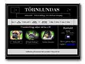 Tornlundas