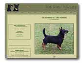 Tumlex Lancashire Heeler