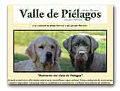 Retrievers del Valle de Piélagos