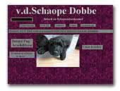 v.d. Schaope Dobbe Briard en Schapendoes kennel