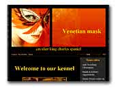 Venetian mask