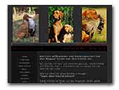  Magyar Vizsla Kennel von den Reithen slx