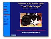 Deutsche Doggen Vom White Temple VDH/KYDD