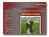 Bearded Collie vom Worblinger Hard