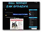Zak Evraziya BullTerrier