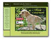 Z Białobłockich Lasów Hodowla psów rasy Labrador Retriever
