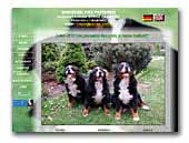 Stróz Zagrody Kennel Bernese Mountain Dog