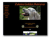 Zulema Golden Retriever