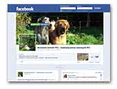 Acalantis Kennel FCI - Polish Sighthound & Tibetan Mastiff