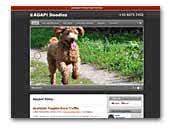 Agapi Labradoodles