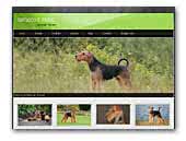Sirocco's Pride - Airedale terriers Breeder