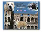  Russkyi Gladiator - kennel of breed Central Asia Shepherd Dog