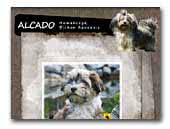 Alcado Havanese Kennel