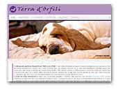 'Terra d'Orfili' Basset Hound Kennel