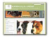 della Maschera di Tutankhamon - Border Collie and American Staffordshire Terrier