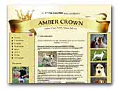 Amber Crown