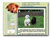 kennel Iz Yantarnoy Strany� poodles miniature, dwarf and toy