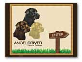 Angel Driver - Labrador Retrievers