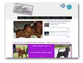 Aarielle's Demon Zwergpinscher and Siberian Husky Kennel
